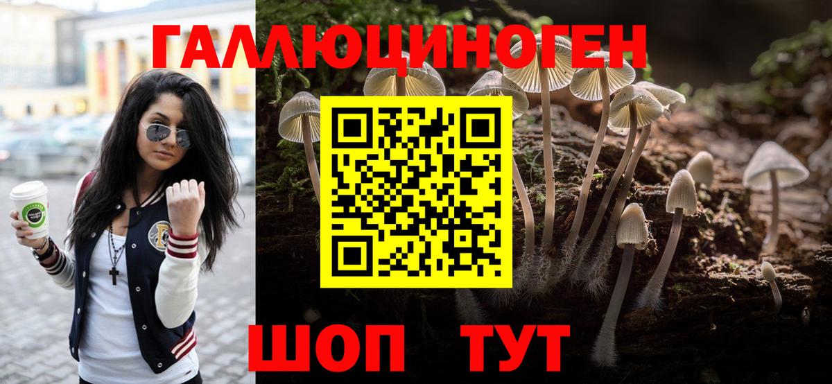 Псилоцибиновые грибы Psilocybe  Галлюциногенные грибы мухоморы  Вход с VPN  Саки 